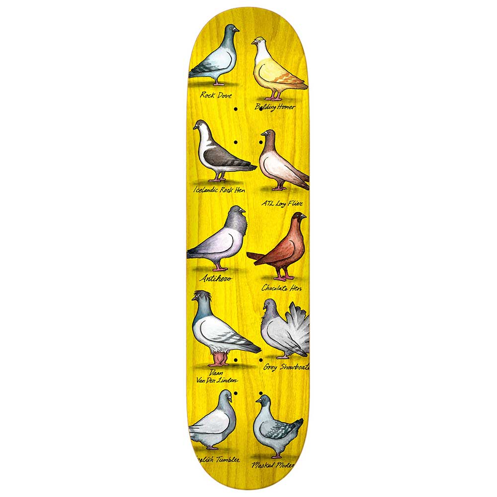 Anti-Hero Daan Show Pigeons Skateboard Deck - 8.38" - Invisible Board Shop
