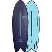 Fish soft 2024 top surfboard